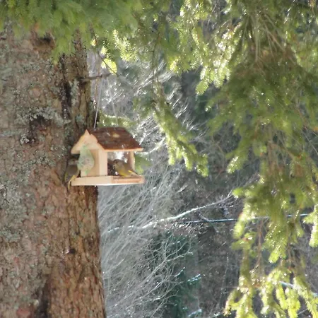 Nyaraló House Kaja Mojstrana