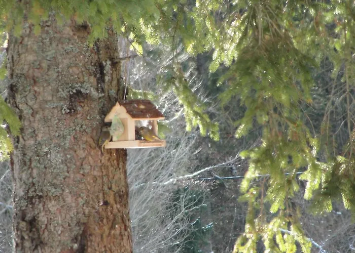 Hébergement de vacances House Kaja Mojstrana